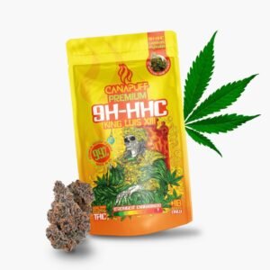 9h hhc blüten king luis xiii 99%