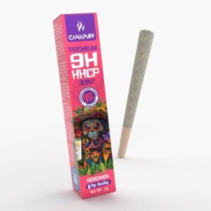 9h hhcp joint horchata 99% 2g