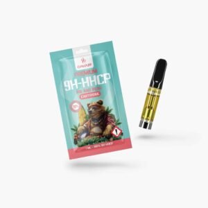 9h hhcp kartusche big bad bear 99%