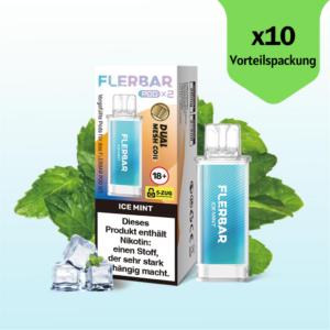 ice mint pods 2x2ml 10er packung / display