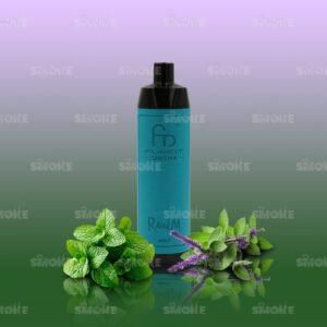 randm tornado 10000 – mint