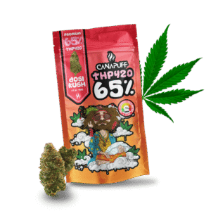 thp420 blüten dosi kush 65%